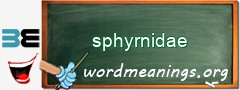 WordMeaning blackboard for sphyrnidae